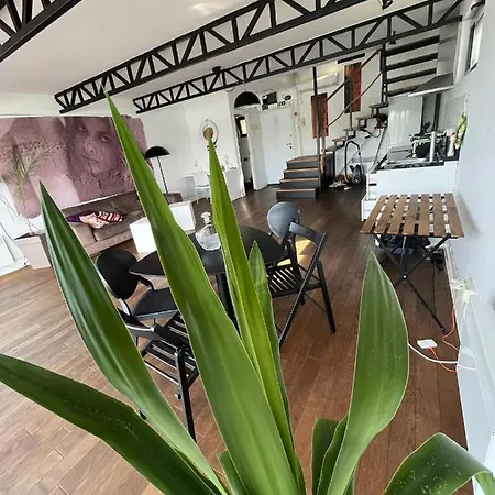 B&B Floating Zen House 베오그라드