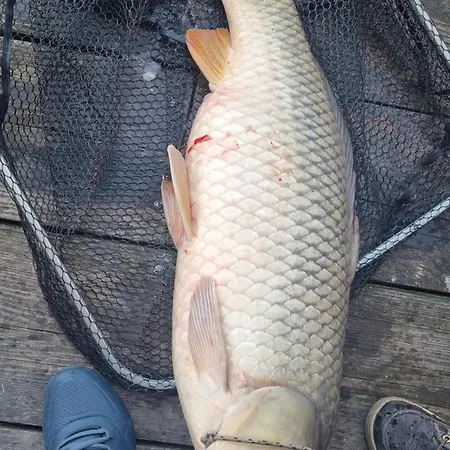 Floating Zen House 4*