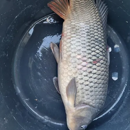 Floating Zen House B&B 4*